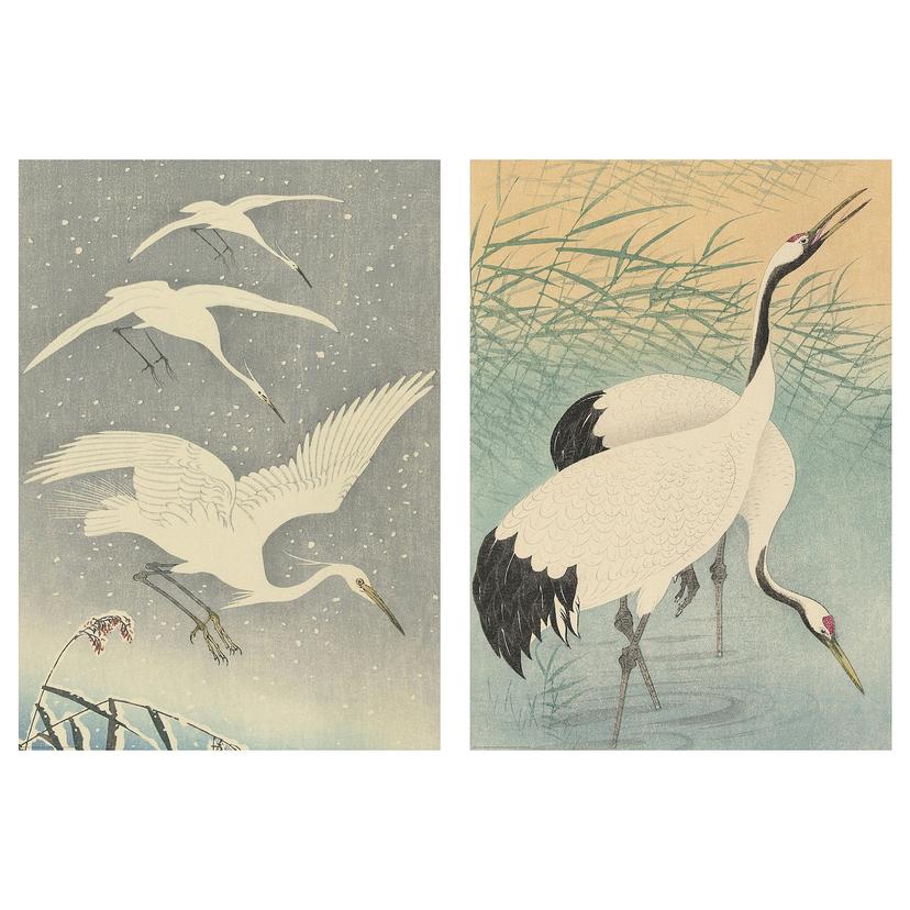 BILD — Плакат, посадка