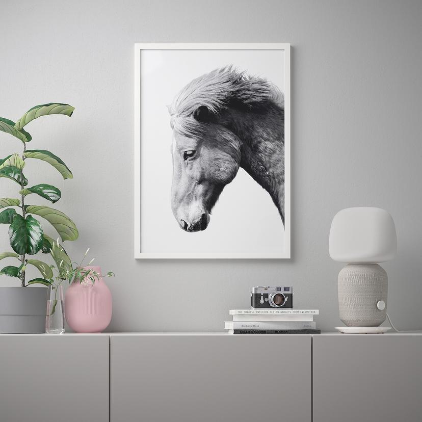 BILD — Картина, 50x70 см