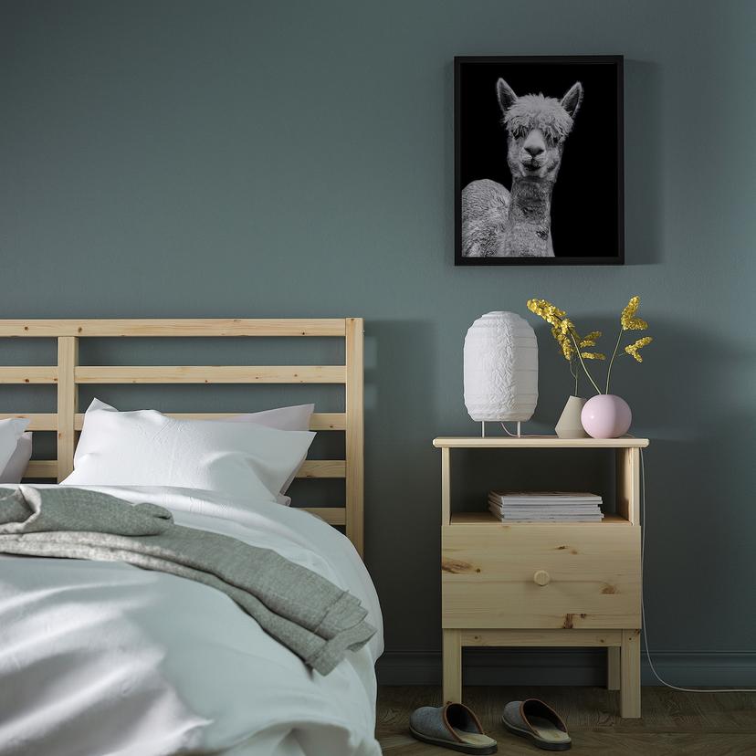 BILD — Плакат, Татси