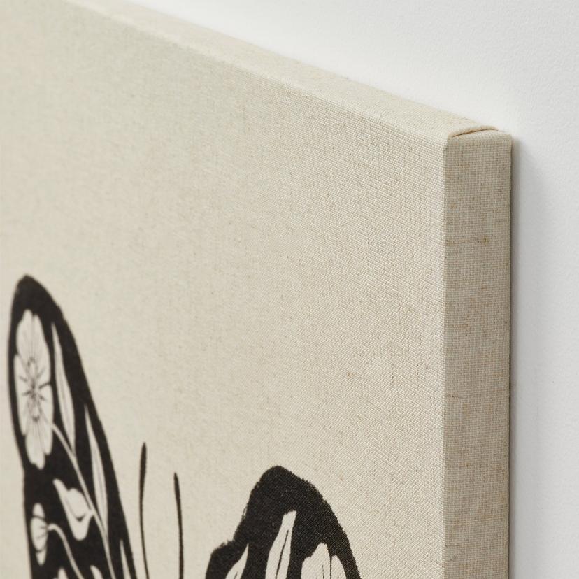 GRÖNMES — Фотография бабочки