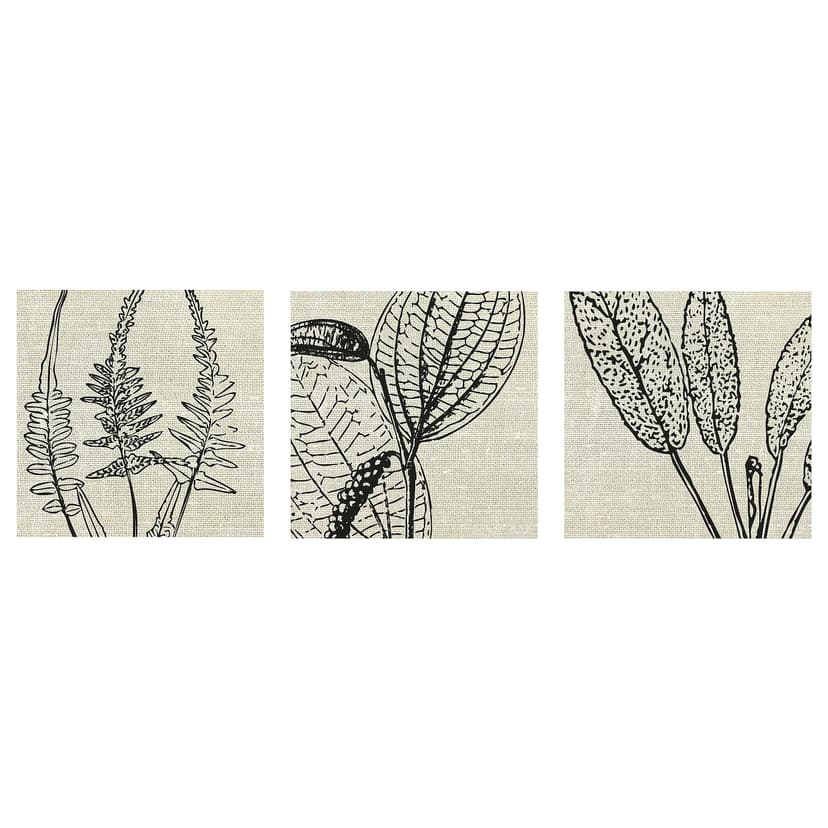 PJÄTTERYD — картина, цветочный принт, 56x56 см