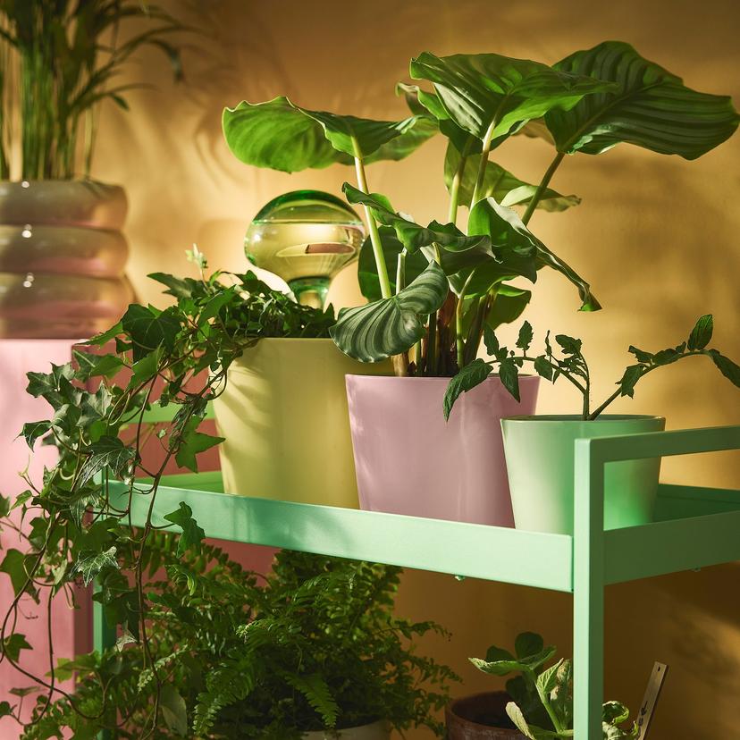 SOJABÖNA — Крышка для горшка, светло-зеленая