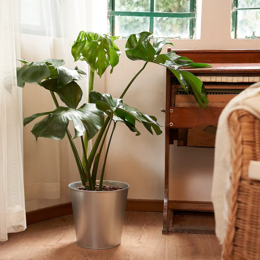 ÅKERBÄR — Чехол для цветочного горшка, для использования внутри и снаружи помещений, оцинкованный.