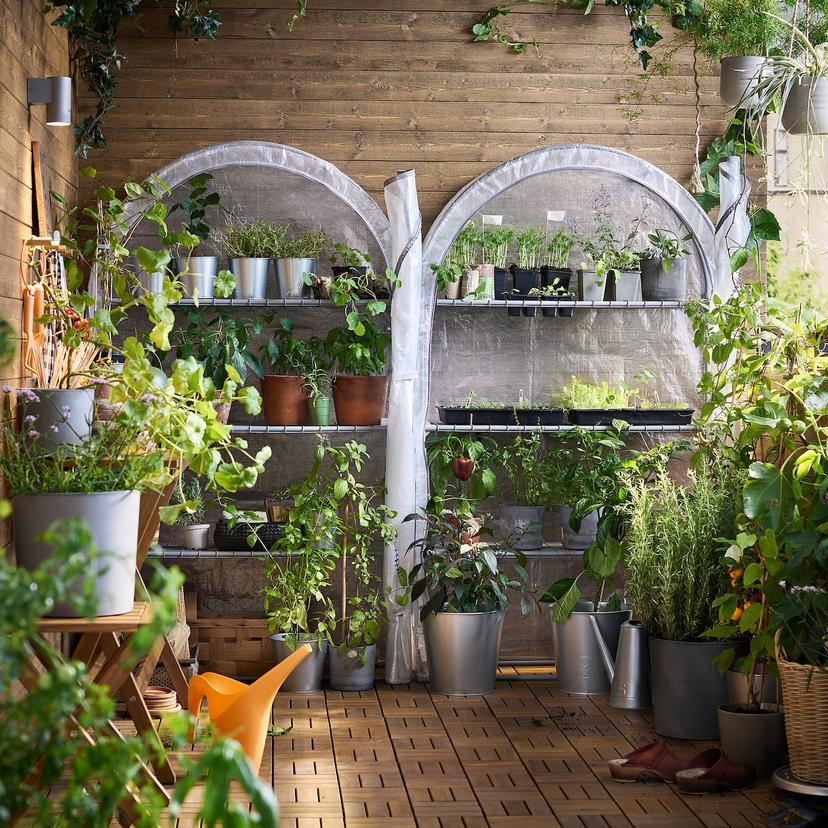 ASPAREN — теплица, прозрачный белый, 95x32x162 см