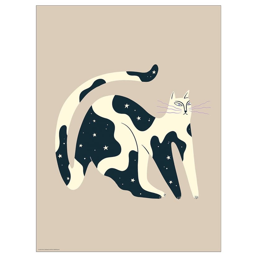 BILD — Plakat, nocny kot,
