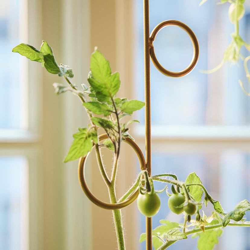 DOFTRIPS — Podpórka roślin, kpl. 2 szt., do wewnątrz/na zewnątrz/różne kształty,