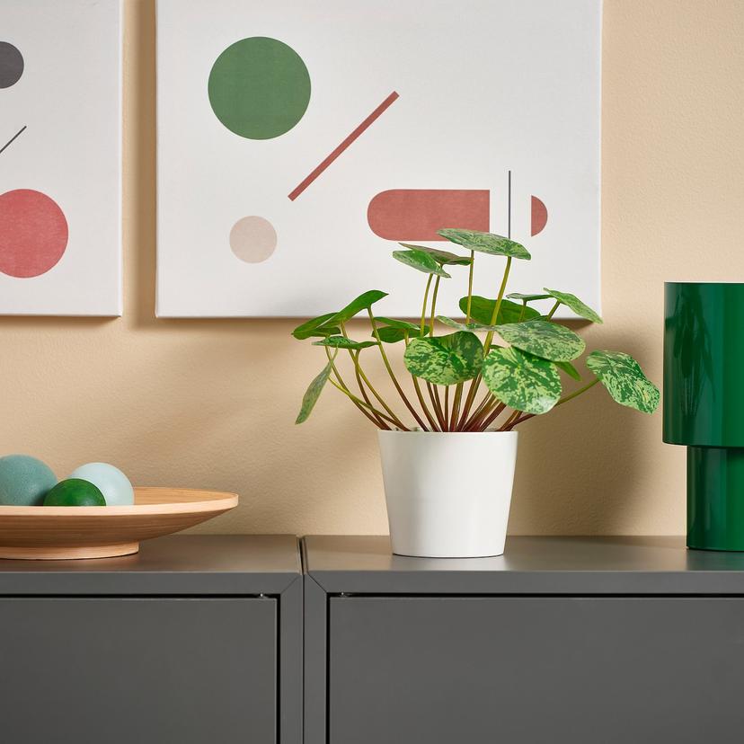 FEJKA — Искусственное растение в горшке, 9 см