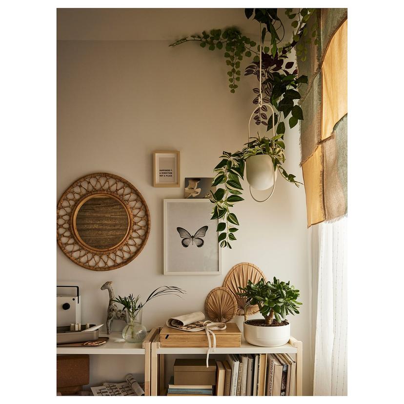 FEJKA — Искусственное растение в горшке, комнатное/уличное/полосатая традесканция