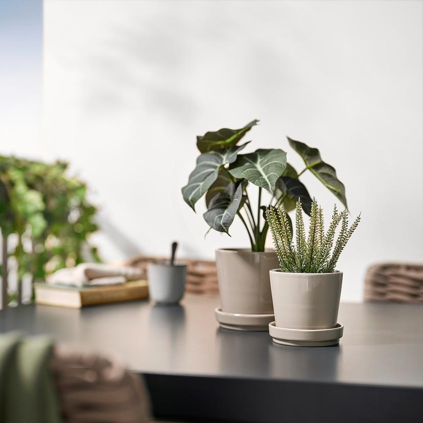 FEJKA — Искусственное растение в горшке, 9 см