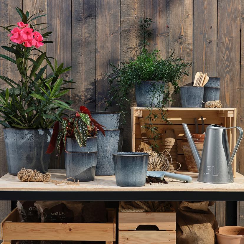 FJÄRILSBUSKE — кашпо, д/дома/улицы/синий, 12 см