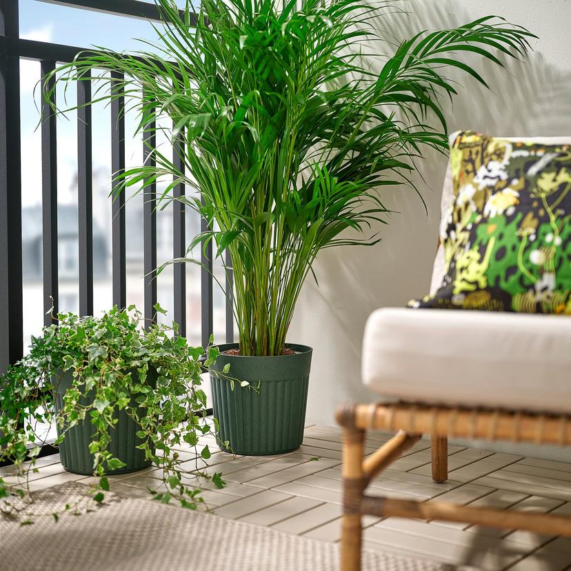 FRÄKENVÄXT — Покрывало для горшка, для использования в помещении/на открытом воздухе/темно-зеленое.