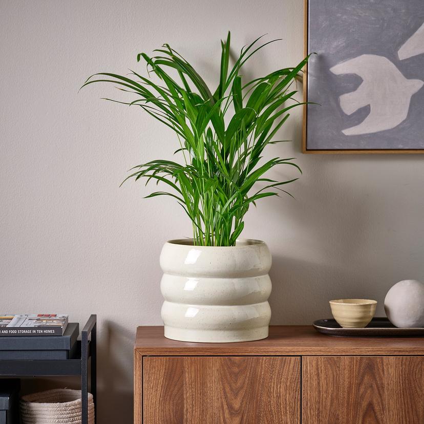 HASSELBUKETT — Цветочный горшок/кашпо, 19 см