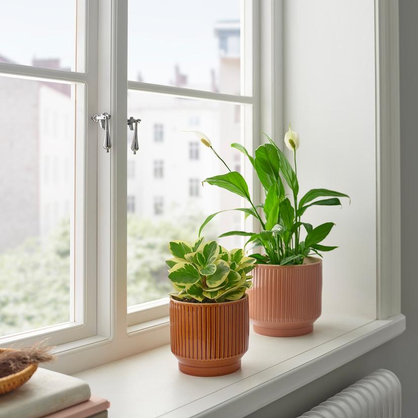 HONUNGSPALM — кашпо, д/дома/улицы/коричневый, 12 см