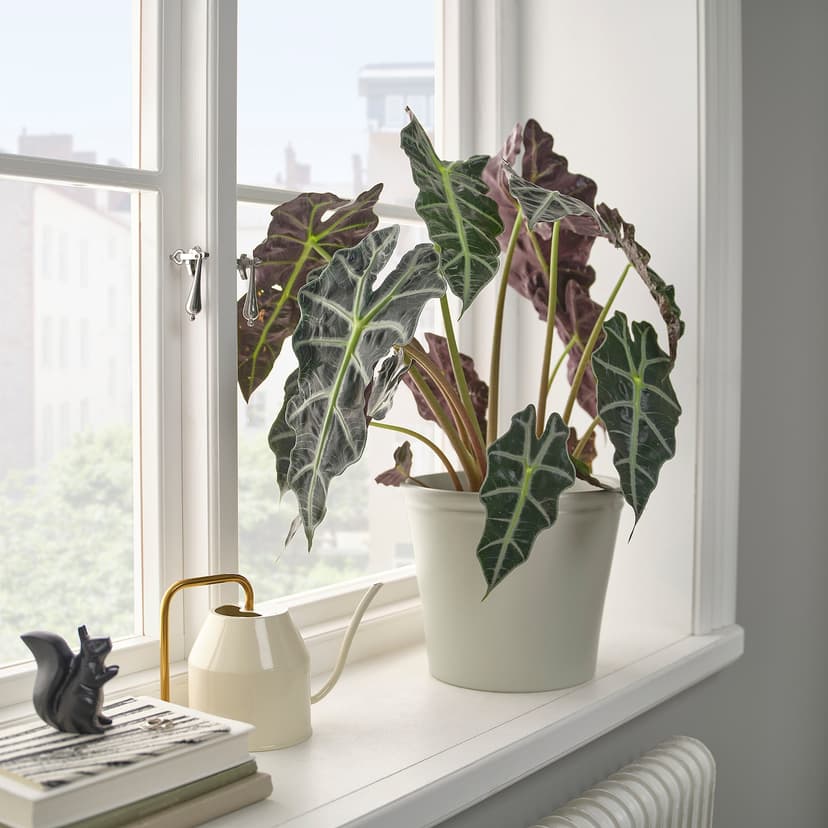 KÖRSBÄRSBJÖRK — кашпо, светло-серый/бежевый, 19 см