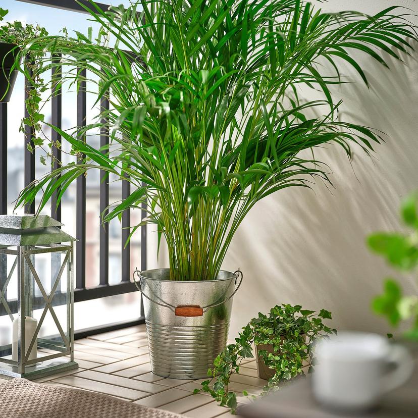 KORKGRAN — Цветочный горшок, для использования внутри и снаружи помещений, оцинкованный.