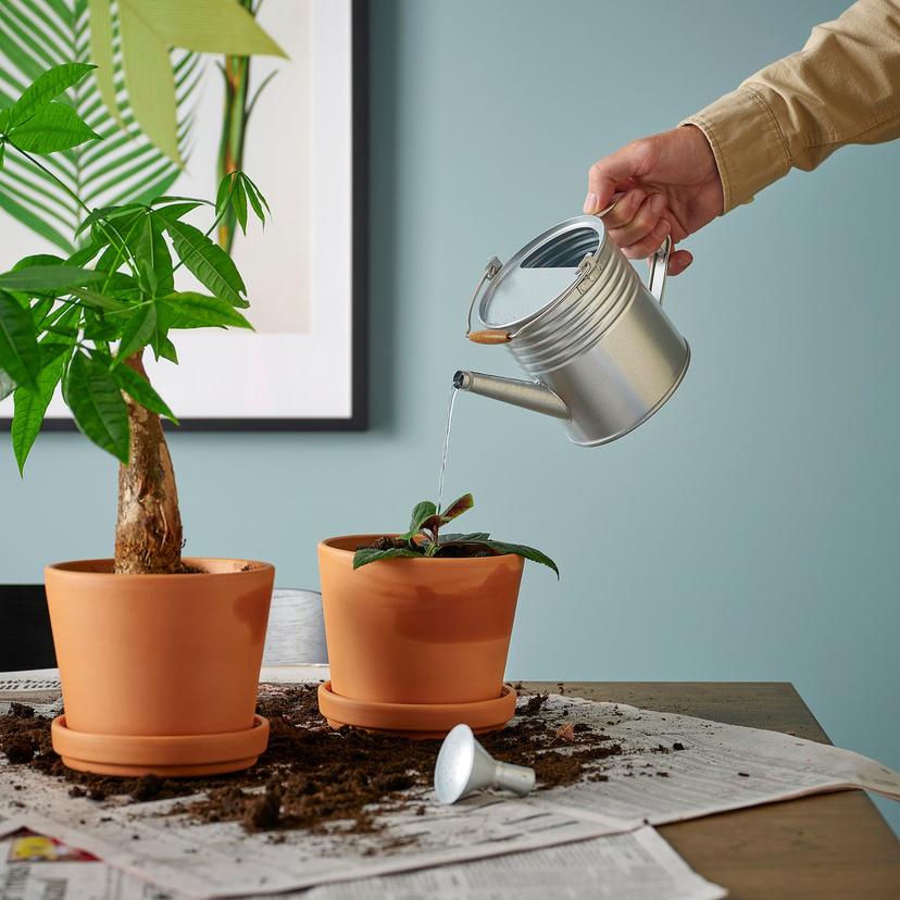 KORKGRAN — Лейка, для использования внутри и снаружи помещений, оцинкованная