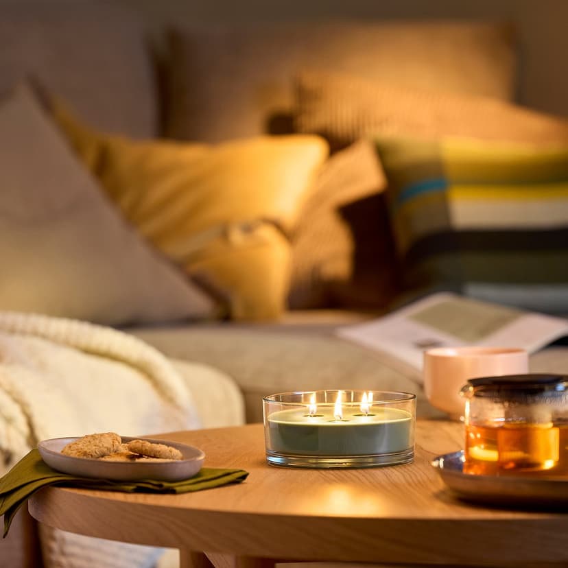 LOTSFÅGEL — Świeca zapachowa w szkle/3 knoty, Liść figowy zielony,