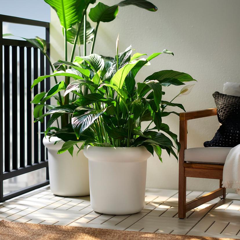 MÅBÄRSBUSKE — Цветочный горшок, для улицы/кремовый