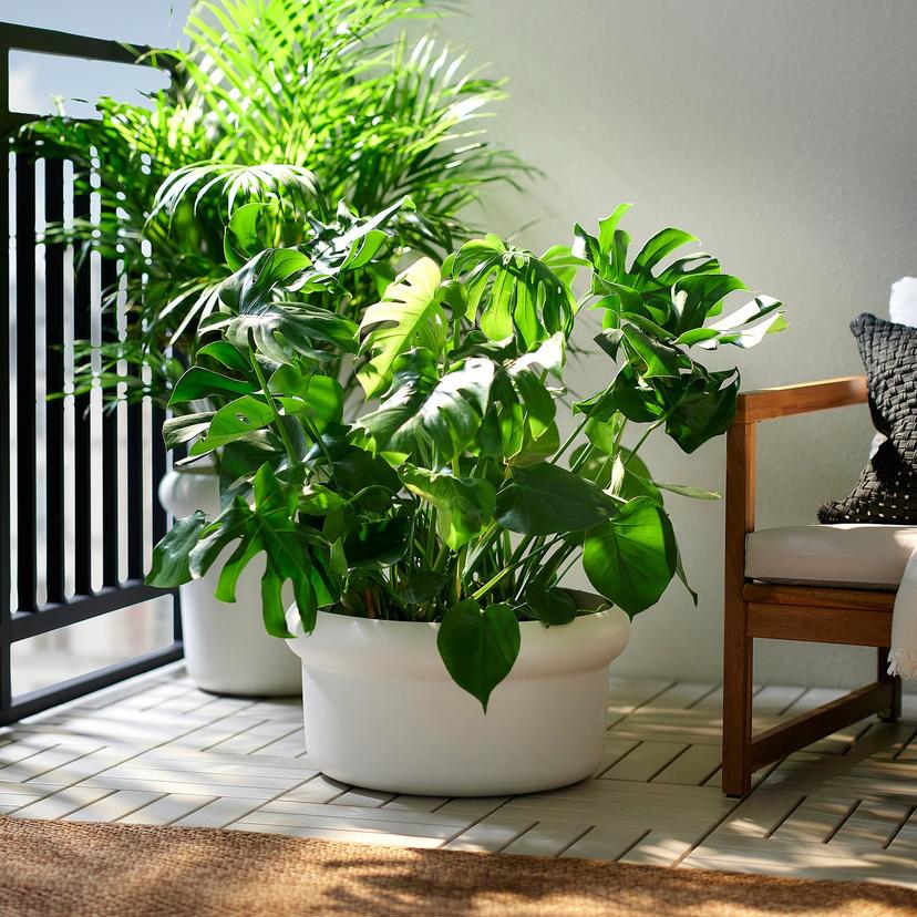 MÅBÄRSBUSKE — Цветочный горшок, для улицы/кремовый