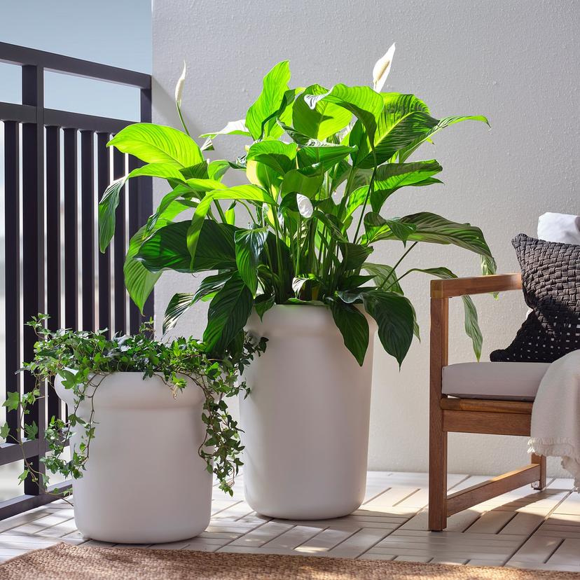 MÅBÄRSBUSKE — Цветочный горшок, для улицы/кремовый