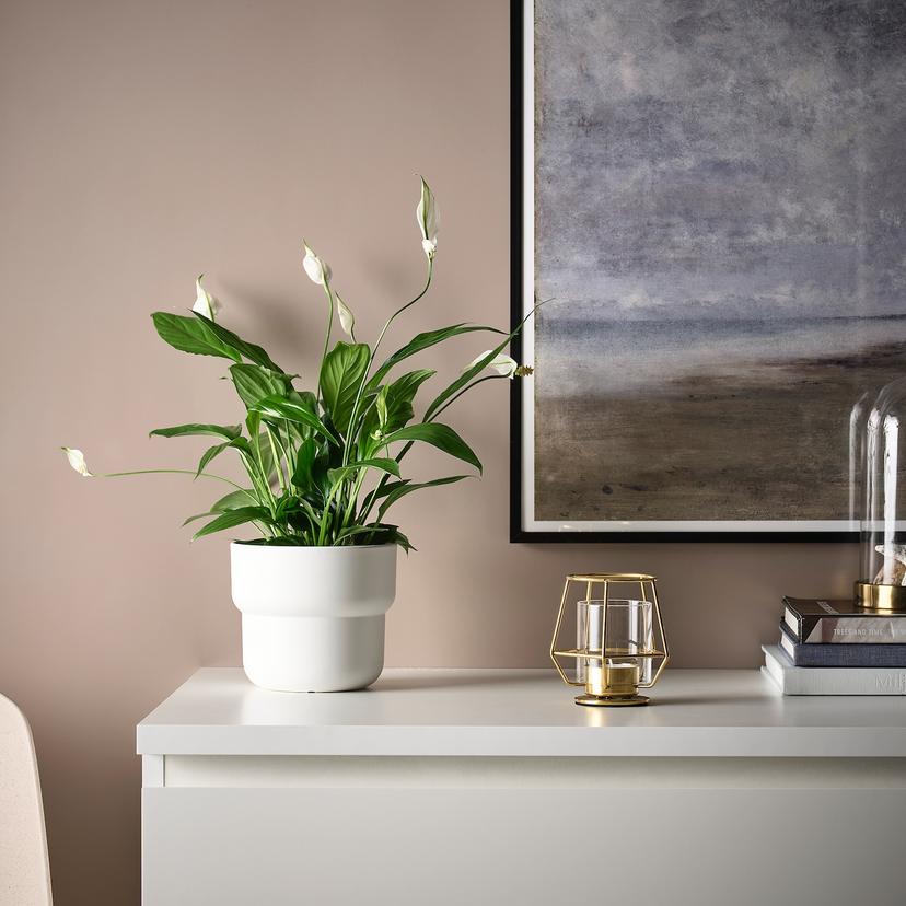 PÄRLBAND — подсвечник для греющей свечи, 10 см