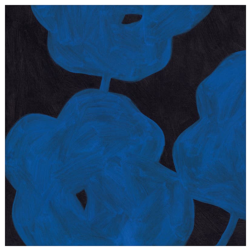PJÄTTERYD — Картина