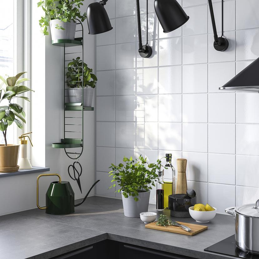 SKUGGRÖNA — Podpórka dla roślin, ścienna, ciemnozielony,