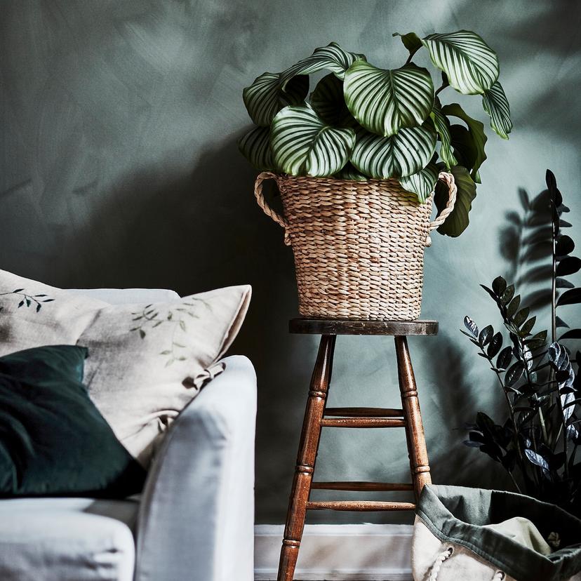 TÖRNBÄR — кашпо, волокно банана ручная работа, 32 см