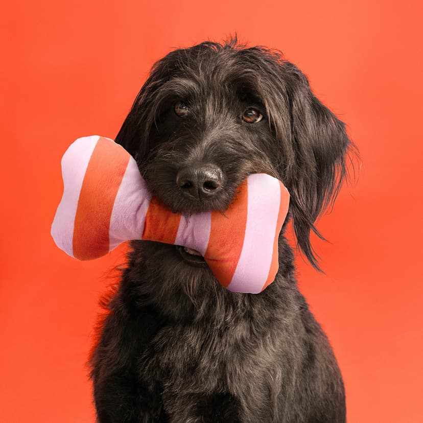 UTSÅDD — Miękka zabawka dla psa, w paski/jasnoróżowy jaskrawopomarańczowy,