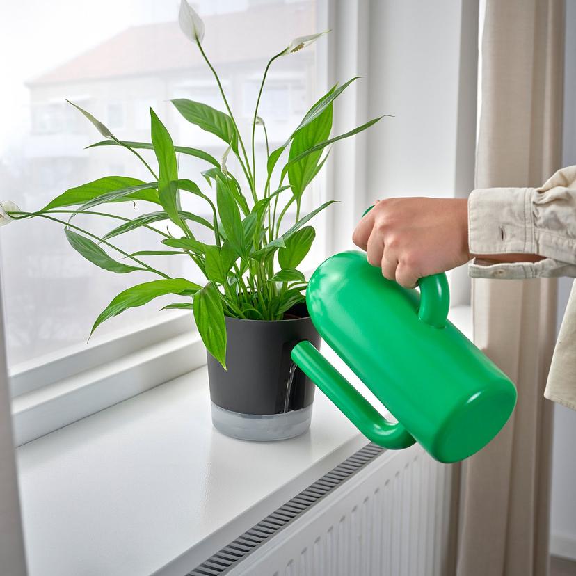 VÅRDTRÄD — Самополивающийся цветочный горшок, для использования внутри и снаружи помещений, прозрачный/антрацитовый.