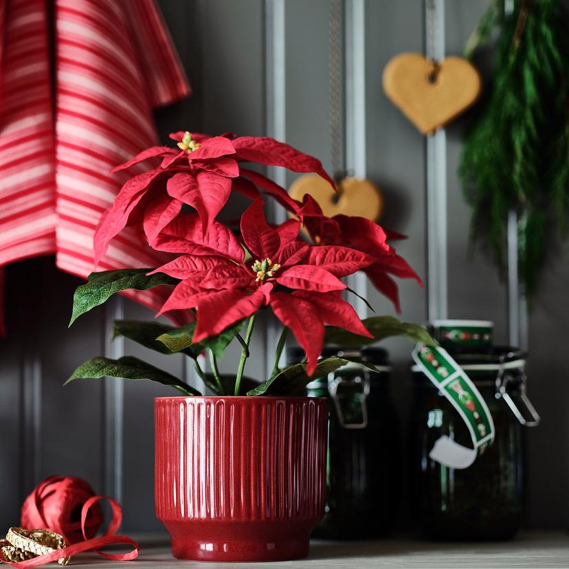 VINTERFINT — Цветочный горшок/кашпо, 12 см